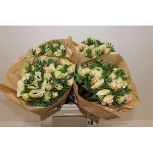 Anem Marianne Panda White