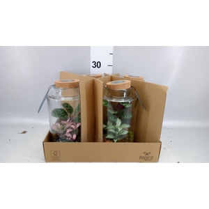 Arr. Planten L%