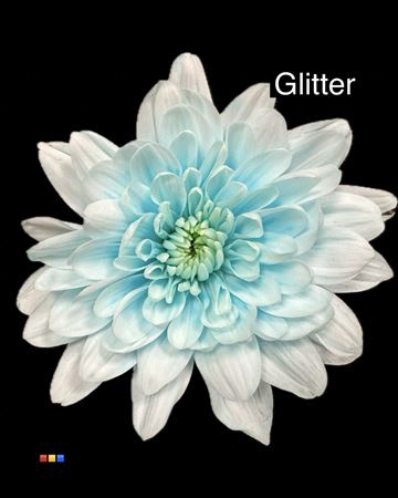 <h4>Chr T 2 Kl Baltica Pastel Blue + Glit Bio</h4>