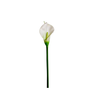 COPO DE LEITE BRANCO 070 CM