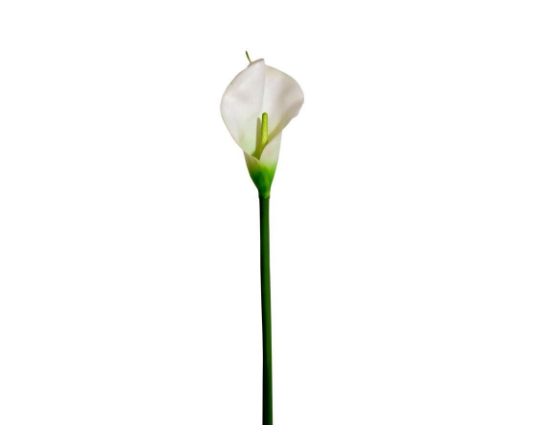 COPO DE LEITE BRANCO 070 CM