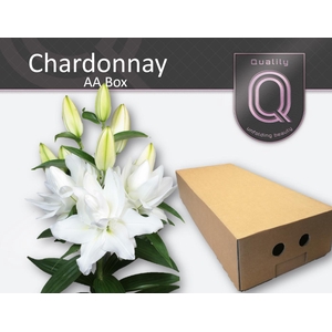 LI OR DU CHARDONNAY AA doos 5+