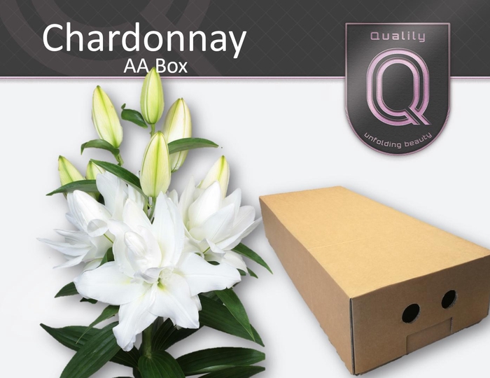 <h4>LI OR DU CHARDONNAY AA doos 4+</h4>