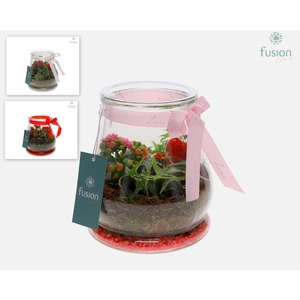 Glas Druppel met Arrangement