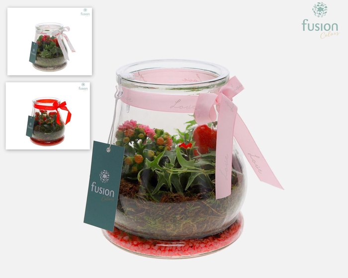 <h4>Glas Druppel met Arrangement</h4>