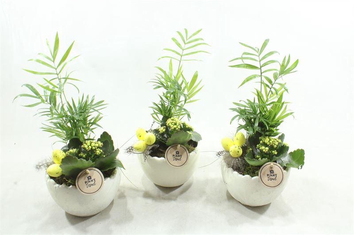 <h4>0215 KER. KARTEL EI</h4>