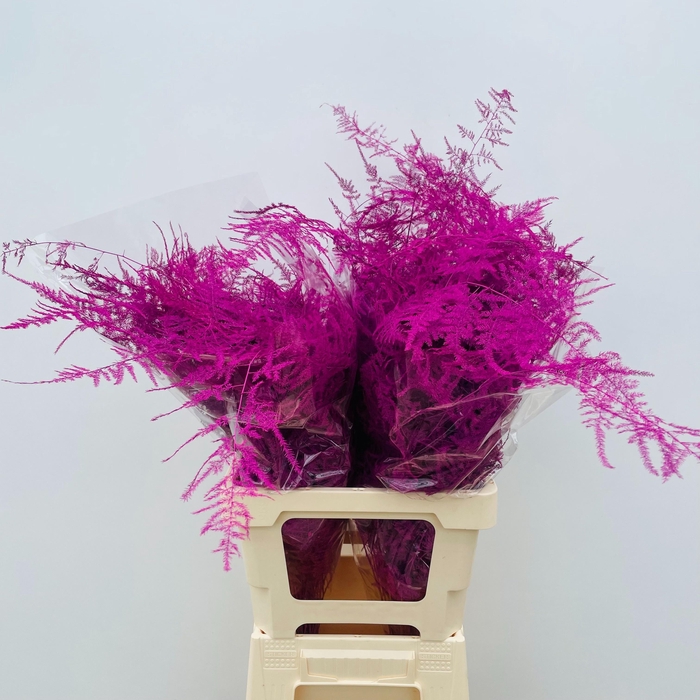 <h4>ASP OV KLB H%</h4>