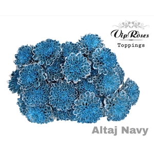 CHR T ALTAJ NAVY