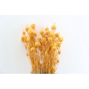 Dried Nigella Salmon Bunch