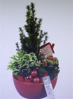 7237 KER ROOD WINTER