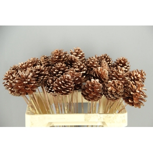 Stick Pine Cone Copper