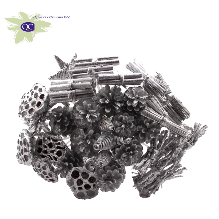 <h4>Bouquet Mix 40 stems Silver</h4>