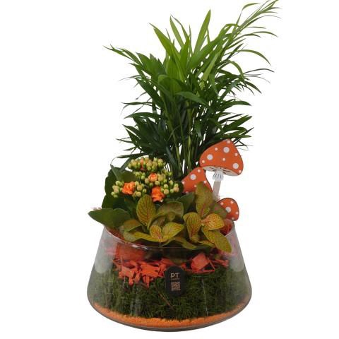 <h4>PTHG8238 Arrangement Autumn Glass in glas schaal</h4>