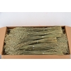 DF BROMUS BS