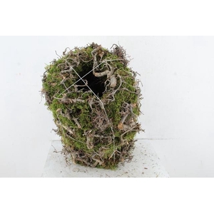 WREATH MOSS BONSAI 30CM