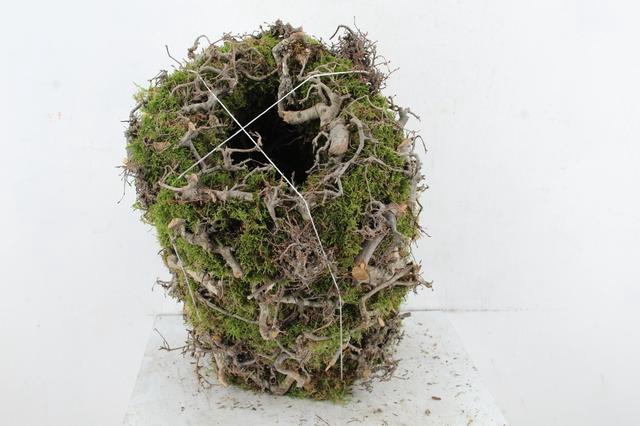 <h4>WREATH MOSS BONSAI 30CM</h4>