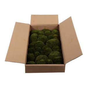 Bolmos Gepreserveerd Bulk Ca. 0.75 M2