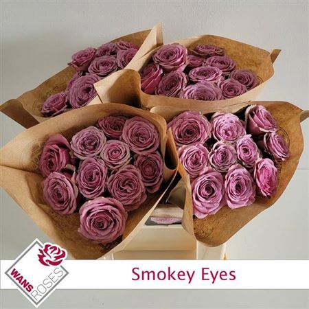 <h4>R Gr Bu Smokey Eyes</h4>