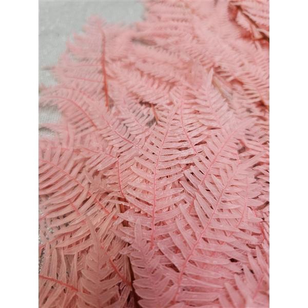 <h4>GESTABILISEERD VAREN LICHT ROZE</h4>