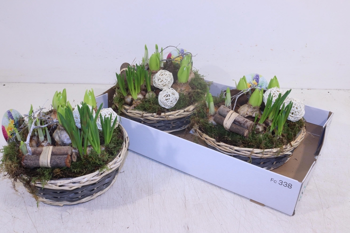 <h4>ARR BOL KNOLGEWAS</h4>