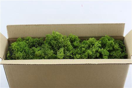 <h4>Mos Reindeer Moss Green 500gr</h4>