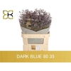 Lim Safora Dark Blue