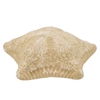 Schelp Starfish Natural Pillow 20-25cm