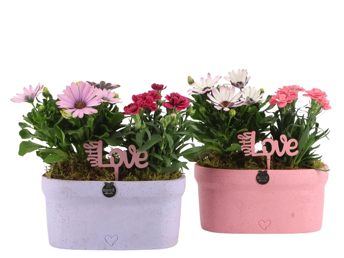<h4>21987: Love outdoor arrangement</h4>