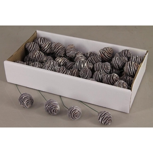 Wire Platyspermum White Wash