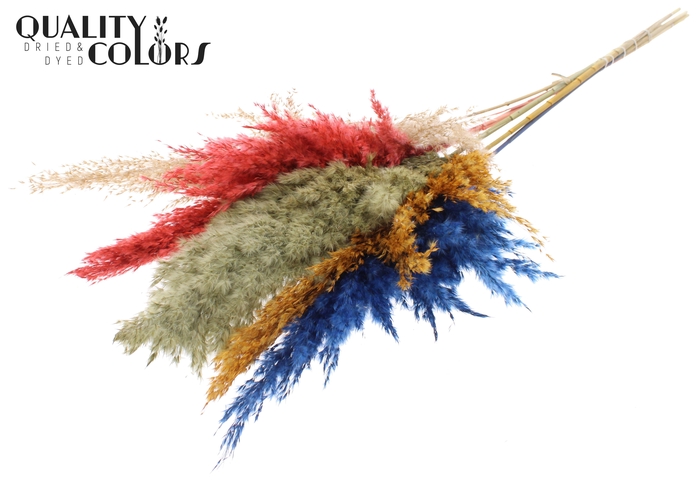 <h4>Pampas Grass 100cm 5st/bunch Colourful 6</h4>