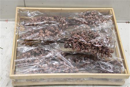 <h4>Wax Bes Koper</h4>