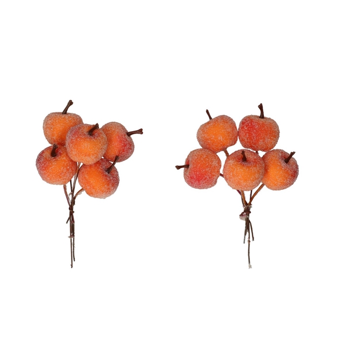 <h4>Herfst Appel frosted/draad d3cm x20</h4>