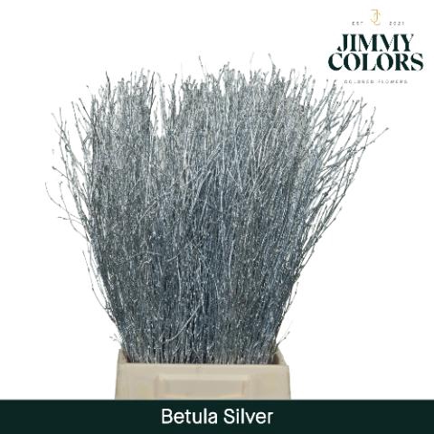 <h4>Betula L70 Mtlc. Zilver</h4>