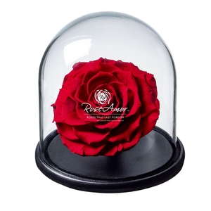 Dome Bonita Red02 Bulk