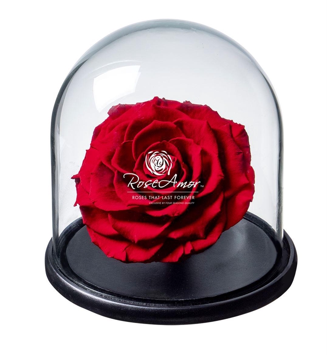 <h4>Dome Bonita Red02 Bulk</h4>