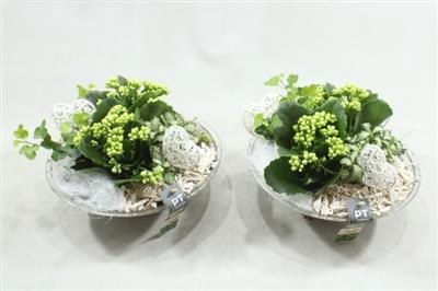 <h4>4973 Wit Glas 28</h4>