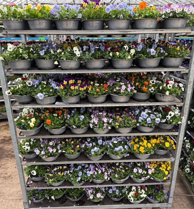 <h4>OVERIGE PERKPL</h4>