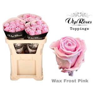 R GR WAX FROST PINK x30 998