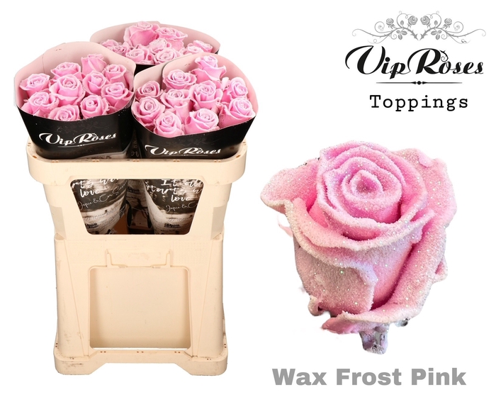 <h4>R GR WAX FROST PINK x30 998</h4>