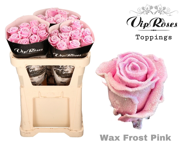 <h4>R Gr Wax Frost Pink X30</h4>