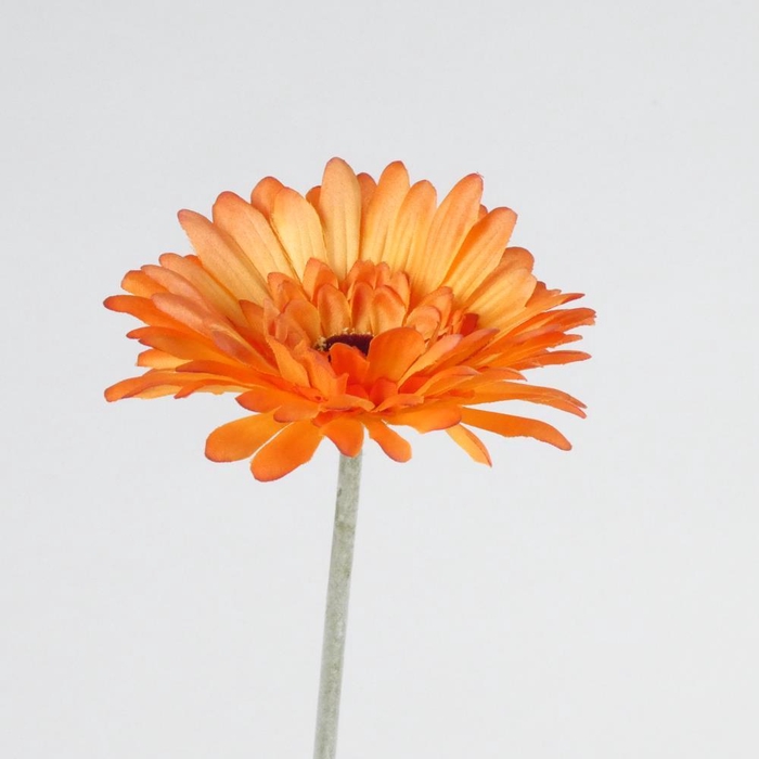 <h4>AF Gerbera L58cm Orange</h4>