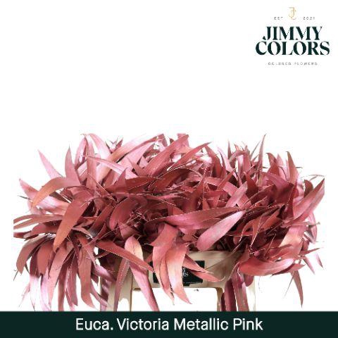 <h4>Victoriablad Gekleurd Mtlc. Roze</h4>