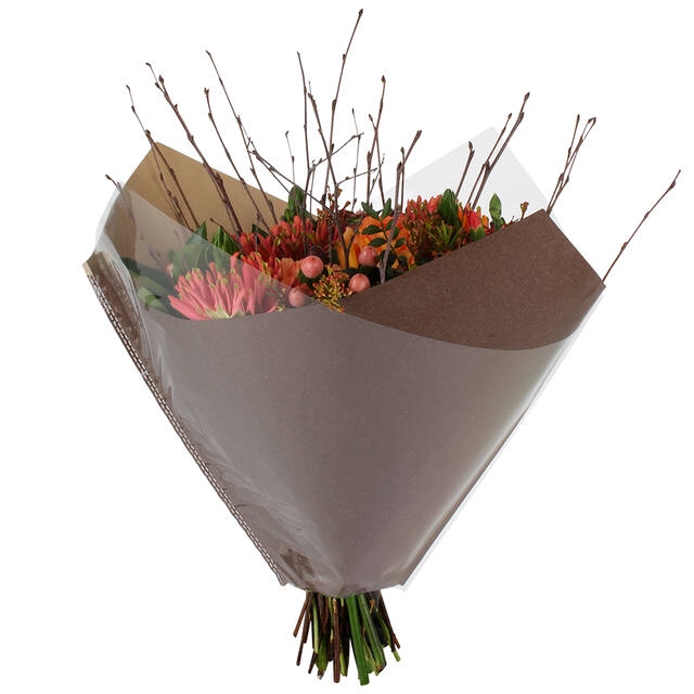 <h4>Hoes 35x35cm Oblique OPP35/80gr bruin kraft d.bruin 250/ds</h4>