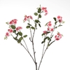 AF Rosa Wild L87cm Pink