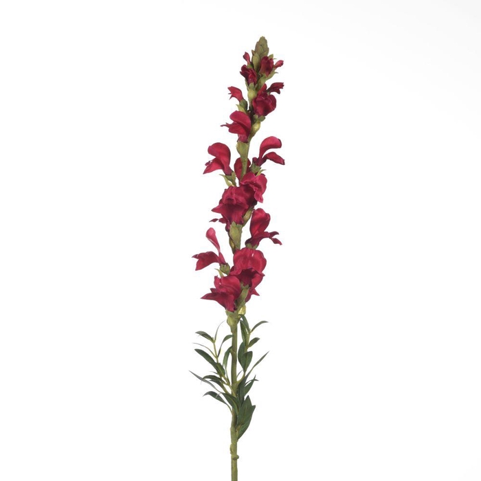 <h4>AF Antirrhinum L81cm Magenta</h4>
