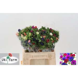 Anem Gal Gemengd In Bos