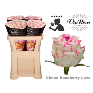 R GR CHOCO ROSEBERRY LOVE x 20