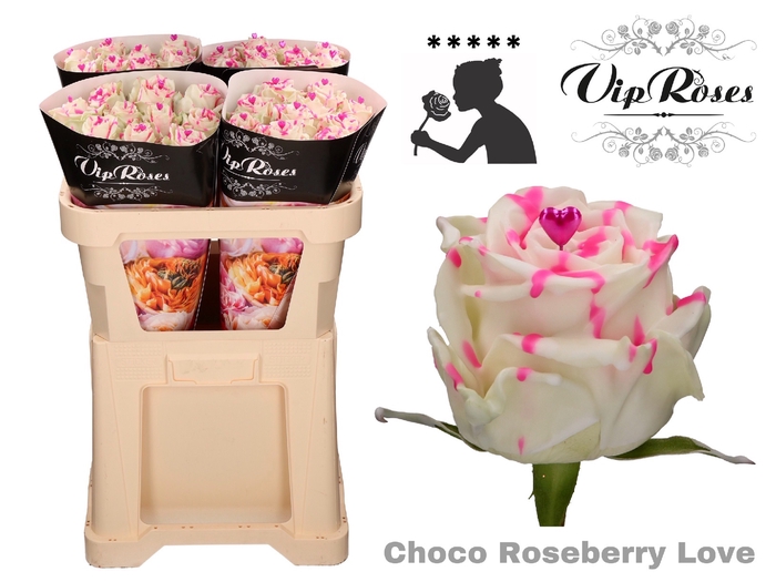 R GR CHOCO ROSEBERRY LOVE  x 20