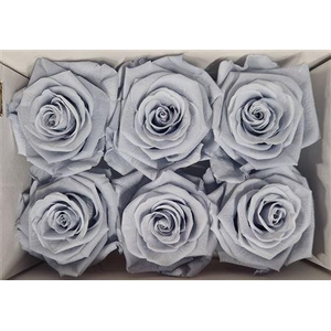 Ro Pres Classic Grey