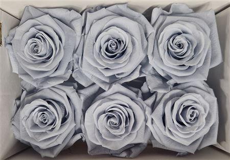 <h4>Ro Pres Classic Grey</h4>